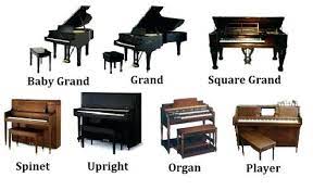 How Much Do Piano Movers Cost gambar png