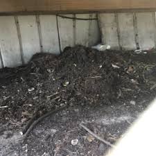 dead smell under mobile home