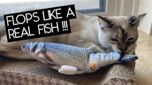 We craft each piece with quality materials and helpful designs, making fishy fun simply delightful. Dancing Fish Cat Toy Review Sven And Robbie Youtube