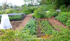 May Garden Jobs For The Vegetable
