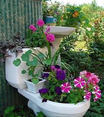Flower Garden Container Gardening