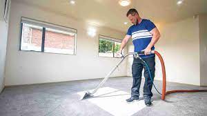 carpet cleaning pest control