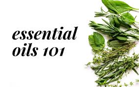Essential oils like lavender and mint are popular as alternative therapies to inhale or to rub into the skin. Here S What Essential Oils Are Good For Motherhood Community