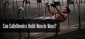 can calisthenics build muscle m