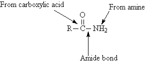 Organic Chemistry Is The Chemical Structure Of An Amide Bond