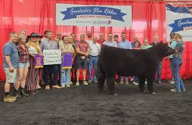 blue ribbon livestock excels