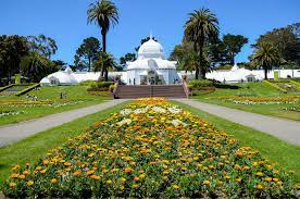 Beautiful Gardens In Golden Gate Park
