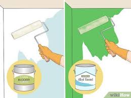 How To Remove Mildew From Sheetrock 8