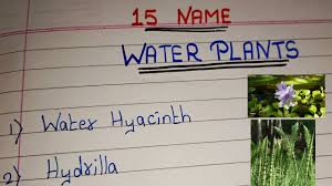 15 water plants names 15 names of