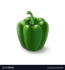 green bulgarian bell pepper on white