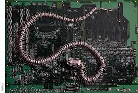 circuit board skeletons make