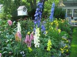 How To Grow A Flower Garden For Bouquets