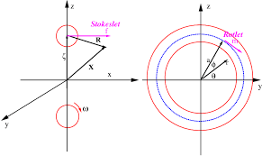 Coordinate System For The Torus Local