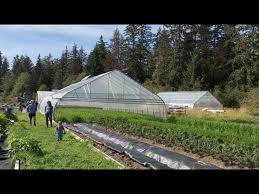 Farragut Farm Growing Vegetables In