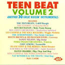 Teen Beat, Vol. 2