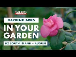 Bunnings Garden Diary