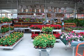 Here you can find about the home depot, what are they famous for, home depot hours, opening hours on holidays and some more useful information which makes your shopping easier. Story Of Success Home Depot Messico Garden Center Furniture
