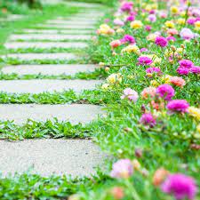 Walkway Landscaping Tips And Tricks