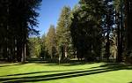 Golf Course in Santa Rosa, CA | Public Golf Course Near Monte Rio ...