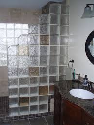 Glass Block Shower Contemporary