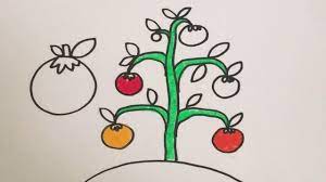 Setelah itu buat gambar pola bunga menggunakan pensil. Menggambar Mewarnai Pohon Tomat Untuk Anak Youtube