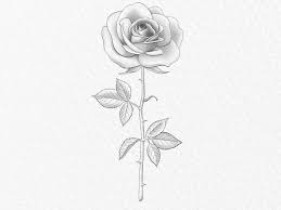 how to draw a rose gathered