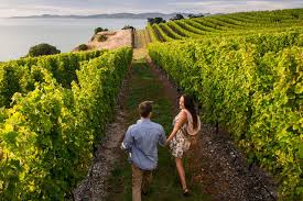 When you go on a wine tasting trip, make sure to include country heritage winery in laotto, in in your list! Marlborough New Zealand S Wine Country Tourism New Zealand