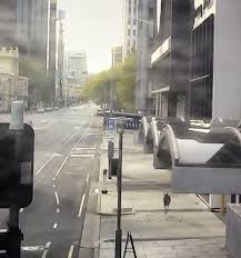 Jim jefferies two melbourne shows for 3 july 2021 have been rescheduled for 1 april 2022. Australian Kangaroo Spotted Hopping Through Eerie Adelaide Streets Reuters Com