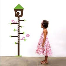 Children Girls Growth Height Chart Bird Feeder Tree Kids Wall Art Sticker