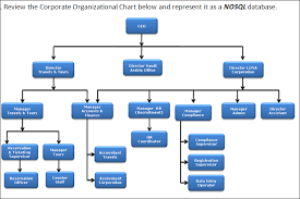 Company Organizational Chart Ceo Boots Organisational Chart