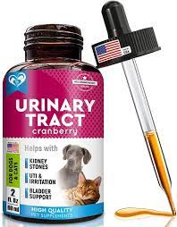 cat dog urinary tract infection