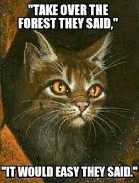 I post lots of different fandom stuff, including tags, lists, and warrior cats. Warrior Cat Memes