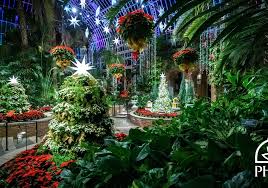 Phipps Conservatory Winter Flower Show