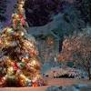 Download the following cozy christmas hd wallpaper 2004 background by clicking the blue button positioned underneath the download wallpaper following the click of the download button, right click on the image and select 'save as'. 1