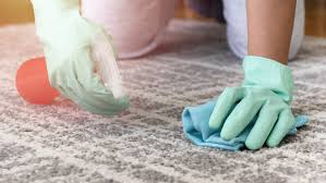 how to clean vomit from carpet