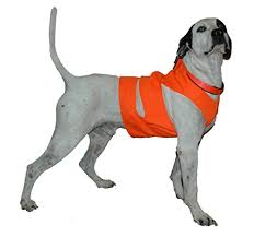 Best Hunting Dog Vest Orange Chest Protection Obrasen Reviews