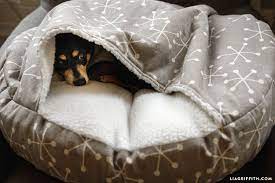 Burrow Dog Bed Snuggle Dog Bed Diy