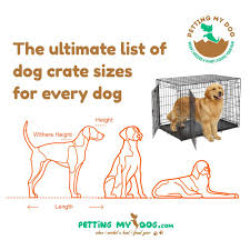 ultimate list of dog crate sizes for