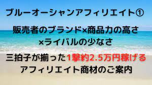 ブルーオーシャンアフィリエイト（ライティング教材のご紹介） - 高単価商品・爆売れブログ