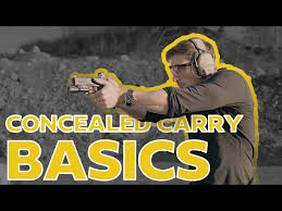 what do i conceal carry basics of