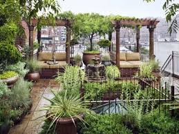 Rooftop Terrace Garden