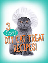 These 3 ingredient salmon cat treats are super easy to whip up and dish out to your cat. 3 Easy Diy Cat Treat Recipes The Catington Post