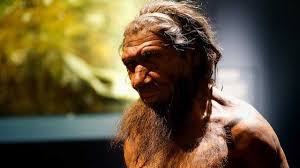 Aveva la testa posta in avanti; Spiegato Il Naso Di Neanderthal Cosi I Nostri Antenati Respiravano Meglio E Resistevano Al Freddo La Repubblica