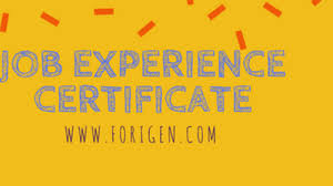 You should write about all of your positive relevant characteristics. Experience Certificate Format Experience Certificate Writing Skills Forigen