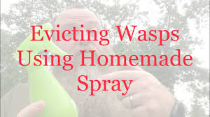 evicting wasps using homemade spray
