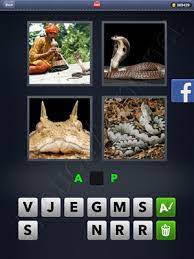 4 pics 1 word answers level 2906