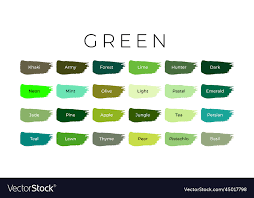 Green Paint Color Swatches With Shade