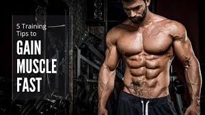how to gain muscle fast 3 science