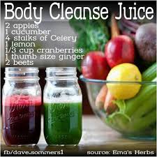 You should always speak to your doctor before you start a cleanse to ensure you are not at risk of health. 11 Diy Juice Cleanse Recipes To Make At Home Hot Beauty Health Diy Juice Cleanse Recipes Juice Cleanse Recipes Cleanse Recipes