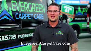 evergreen carpet care area rug